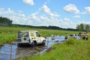 Снова водные процедуры! - subarist.ru