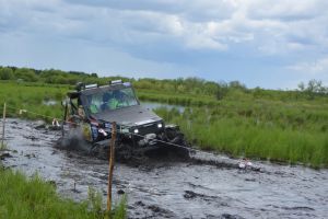 Настоящий проходимец! - subarist.ru